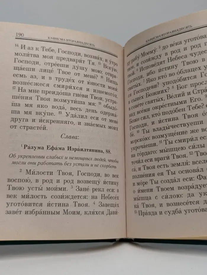 Псалтирь. Помощник и Покровитель