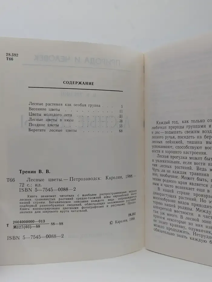 Лесные цветы