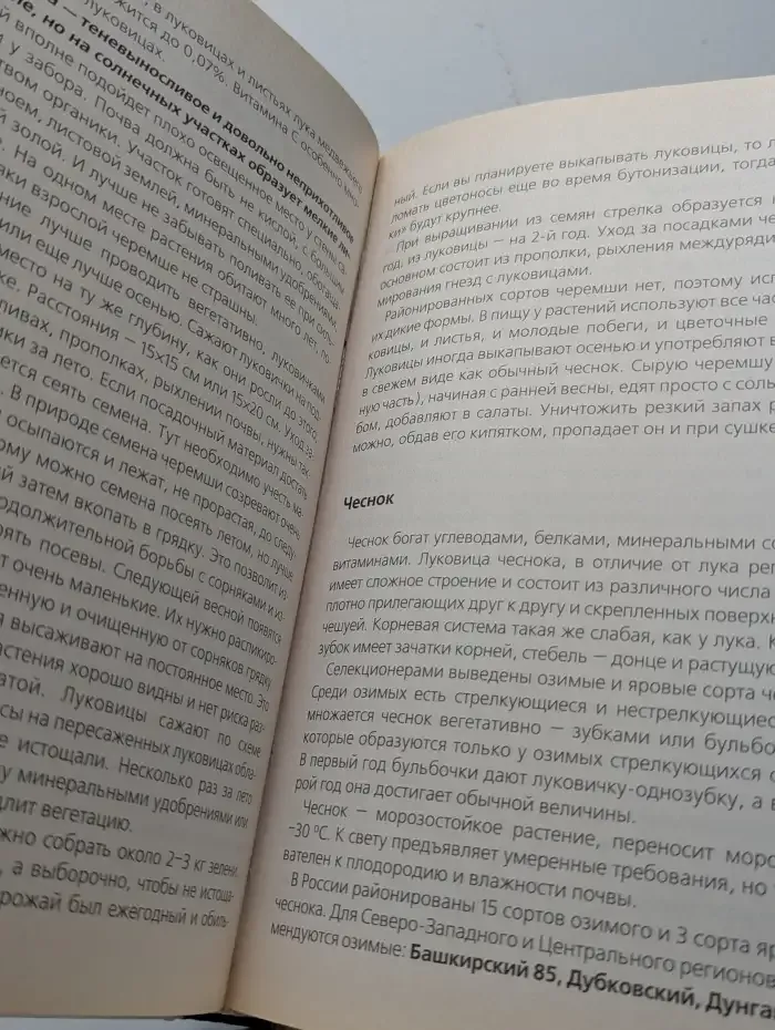 Огород без хлопот