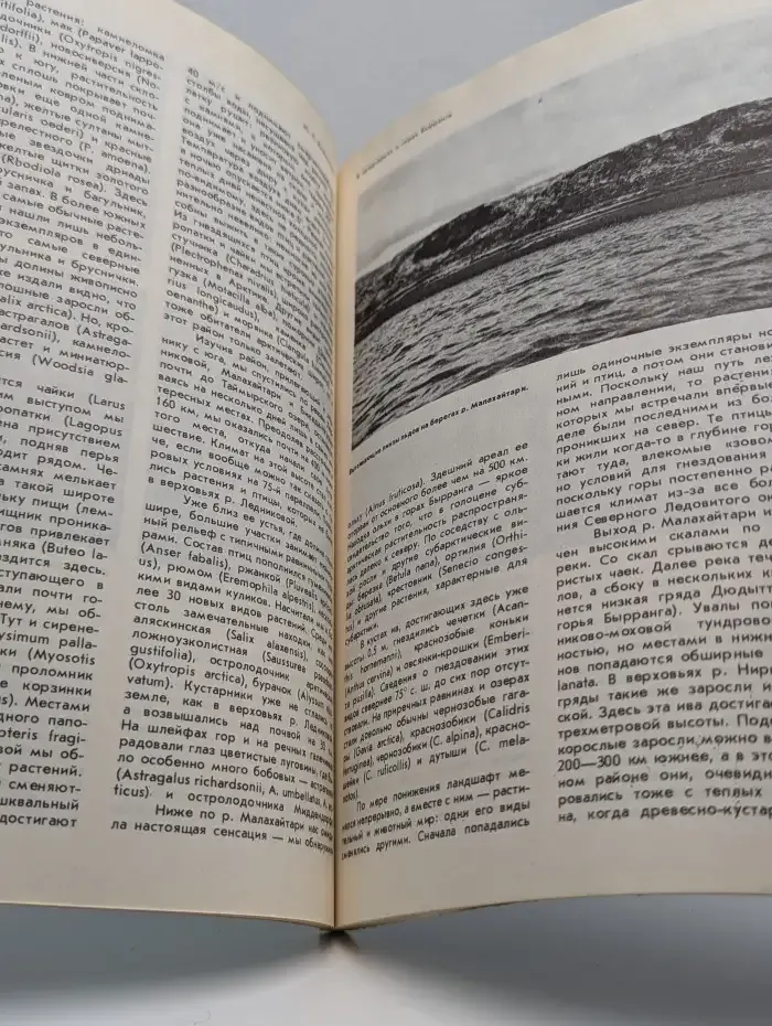 Природа №7, 1983