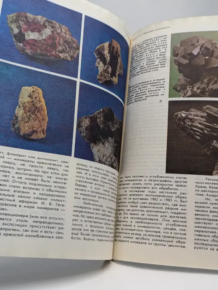Природа. Выпуск №10, 1983