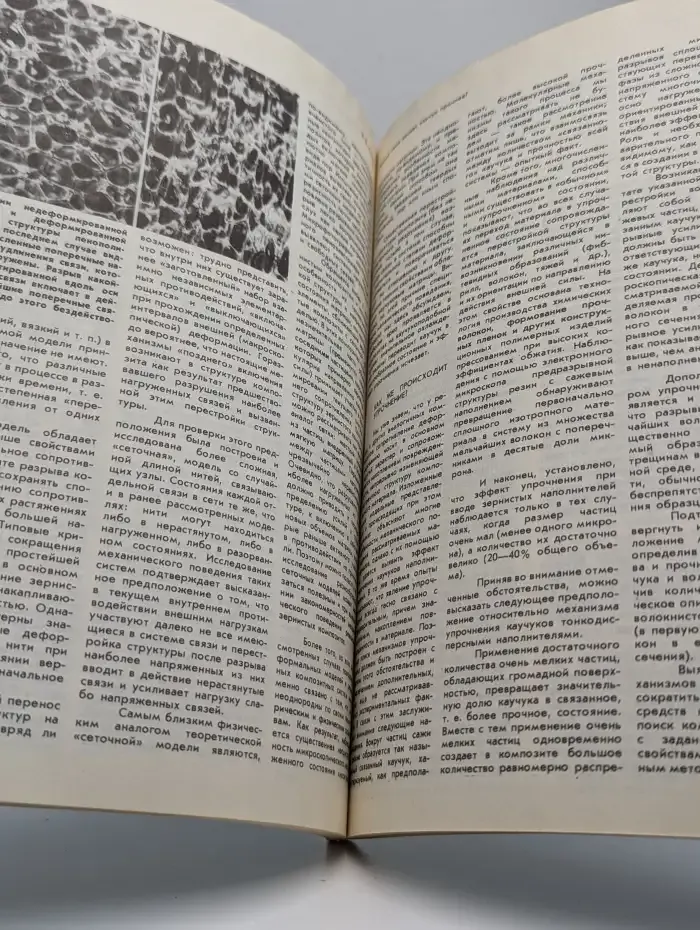 Природа №11, 1983
