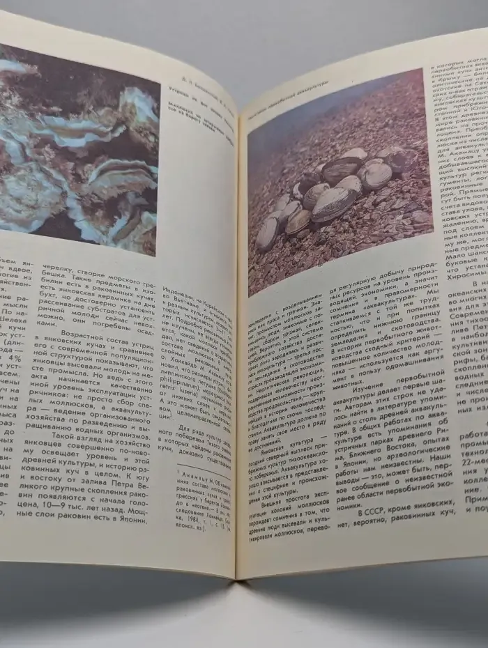Журнал Природа. Выпуск 5, 1986 год