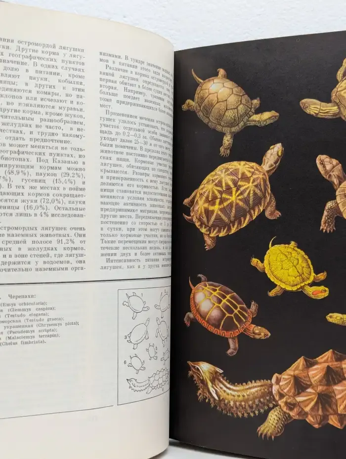 Жизнь животных. В 6 томах. Том 4. Часть 2. Земноводные, пресмыкающиеся