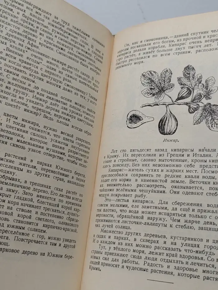 Рассказы о цветах