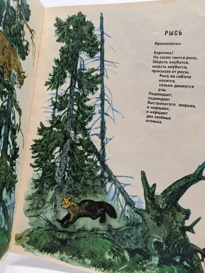 Солнце в дупле