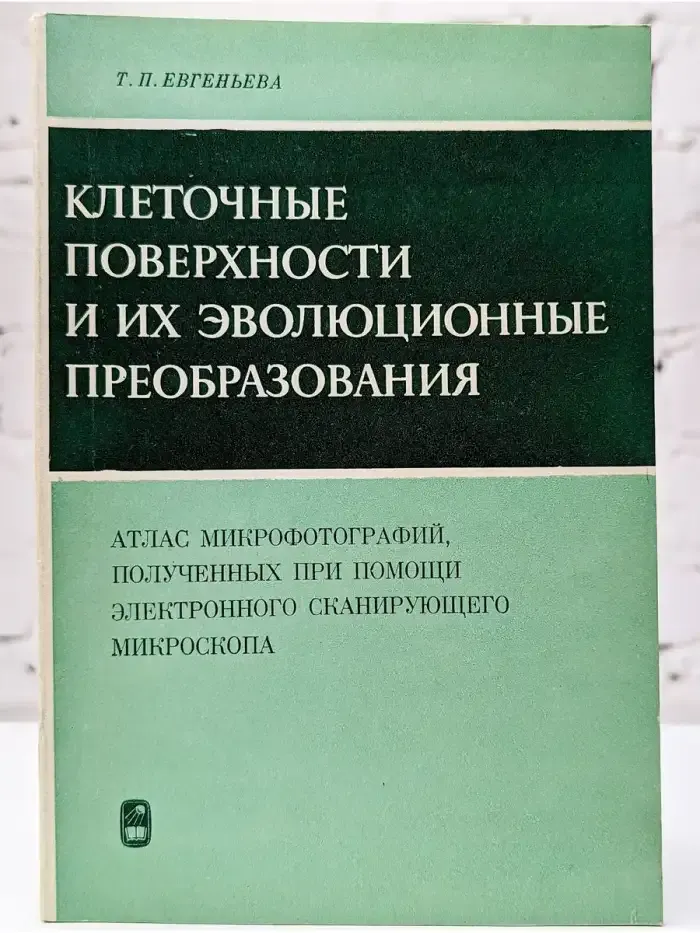 Клеточные поверхности и их эволюционные преобразования