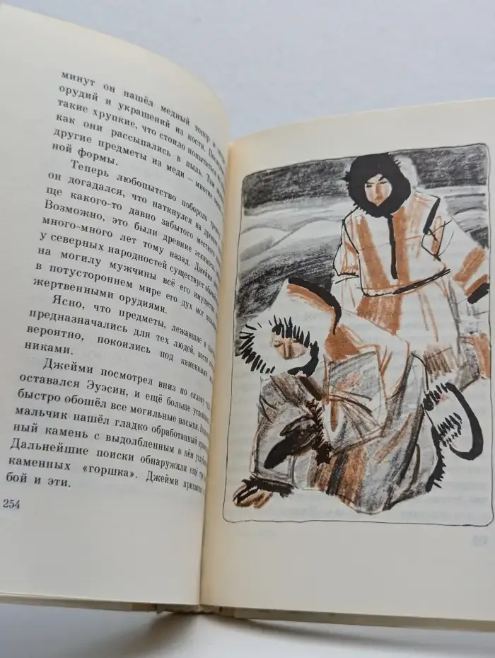 В стране снежных бурь