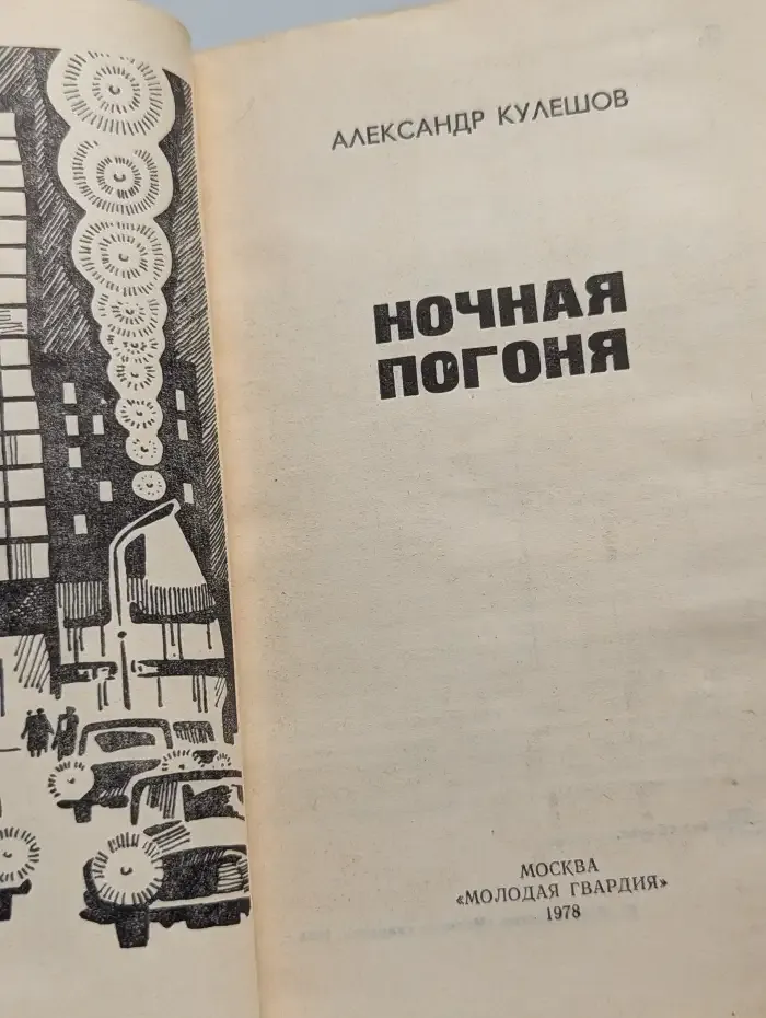 Ночная погоня