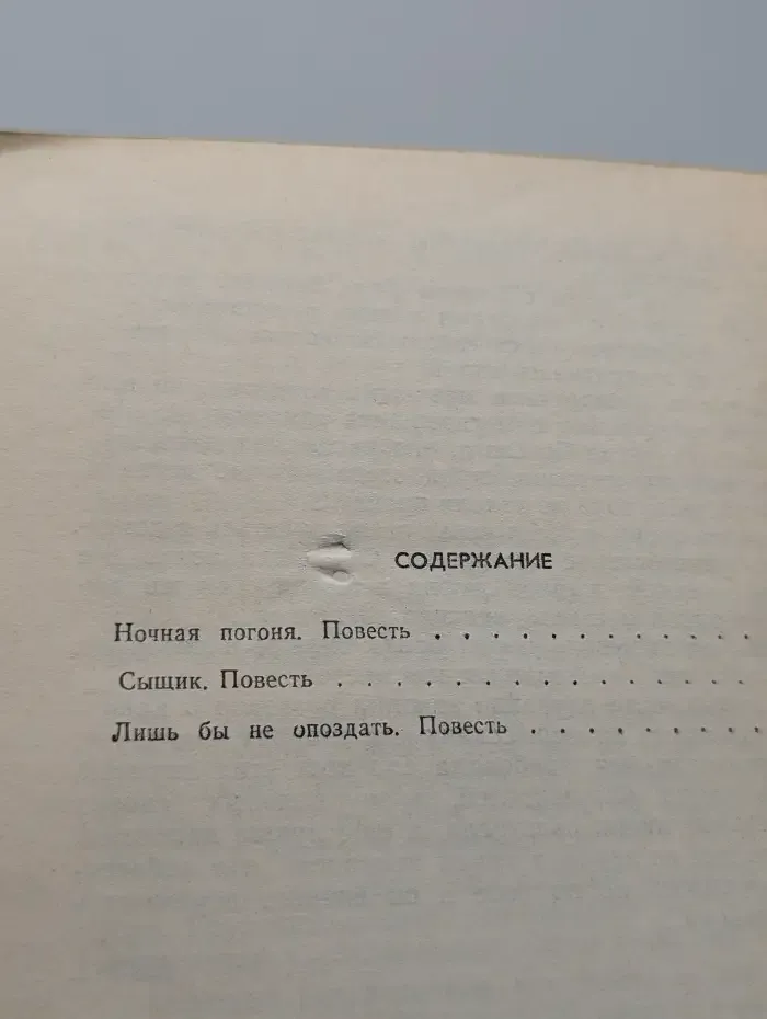 Ночная погоня