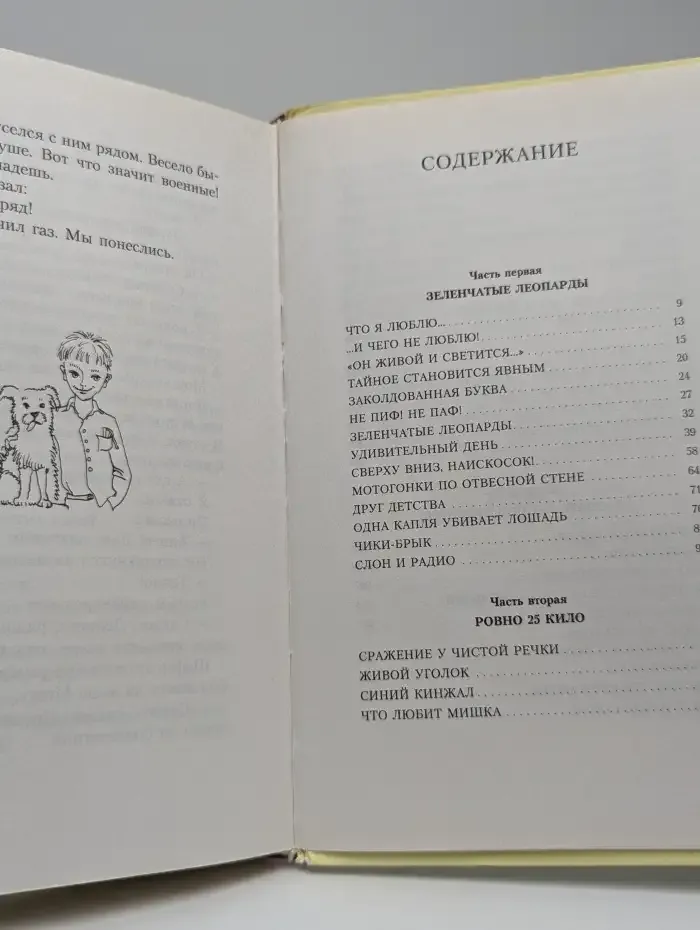 Всё о Дениске и его секретах