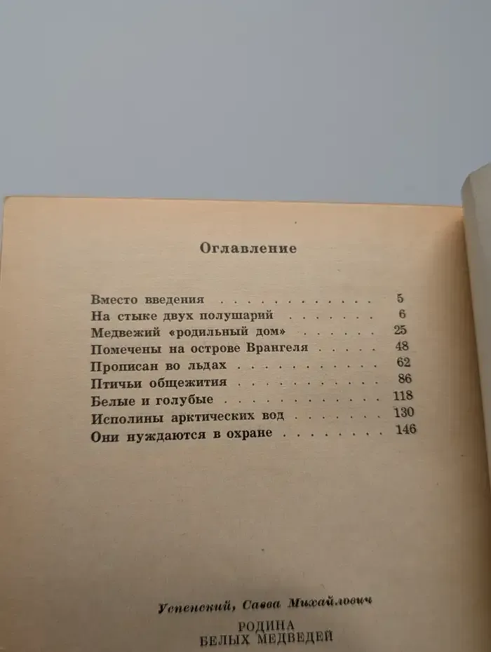 Родина белых медведей