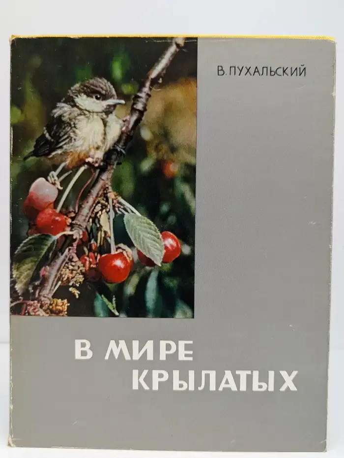 В мире крылатых
