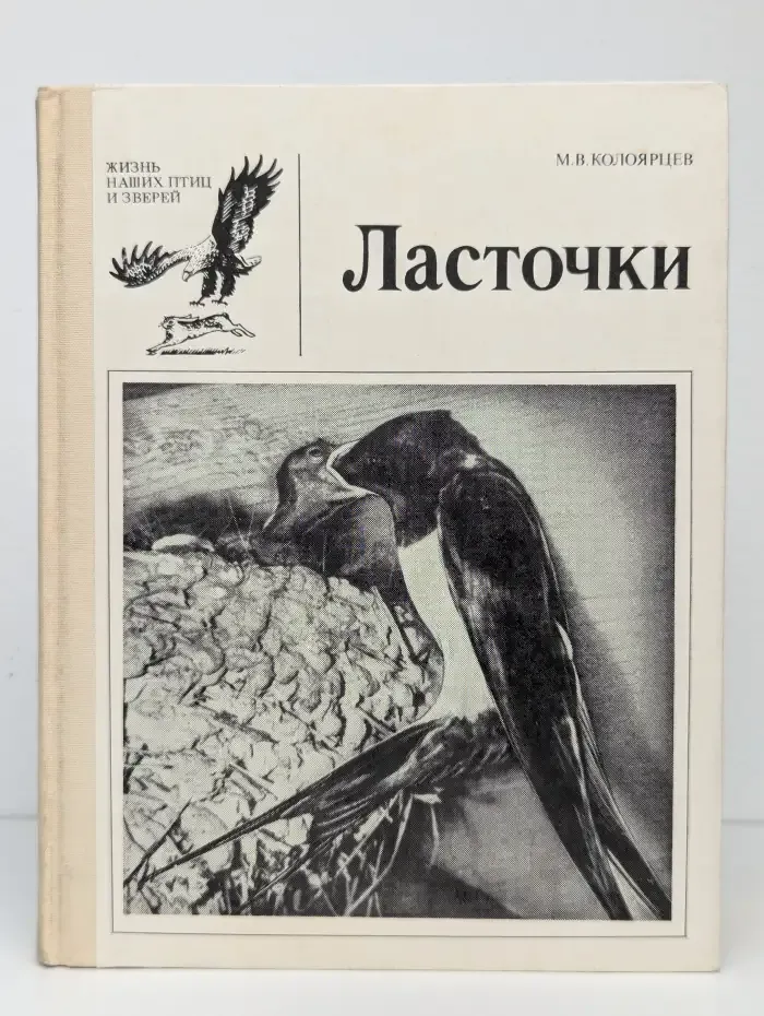Ласточки