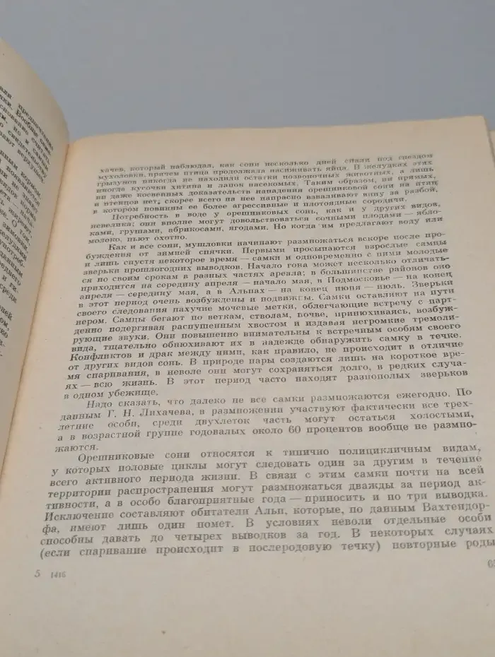 Сони