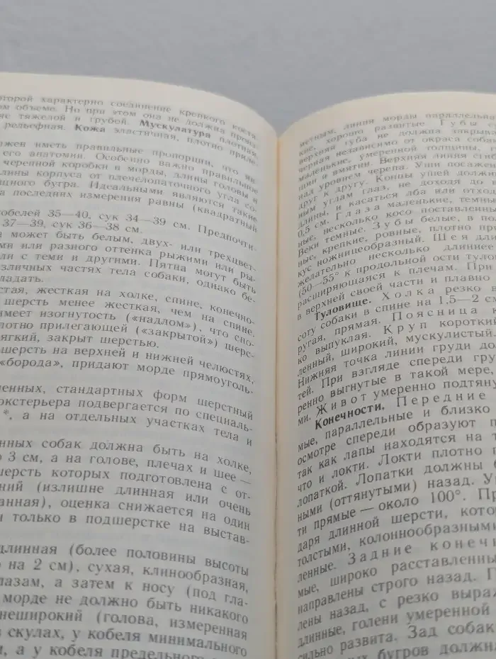 Охотничьи собаки