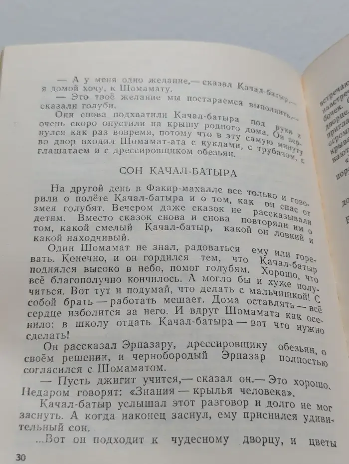 Приключения маленького командира