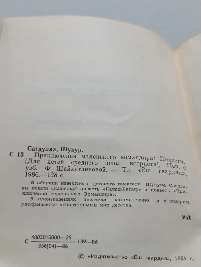 Приключения маленького командира