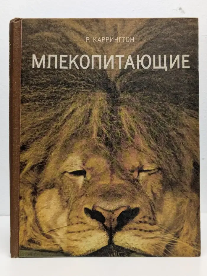 Млекопитающие