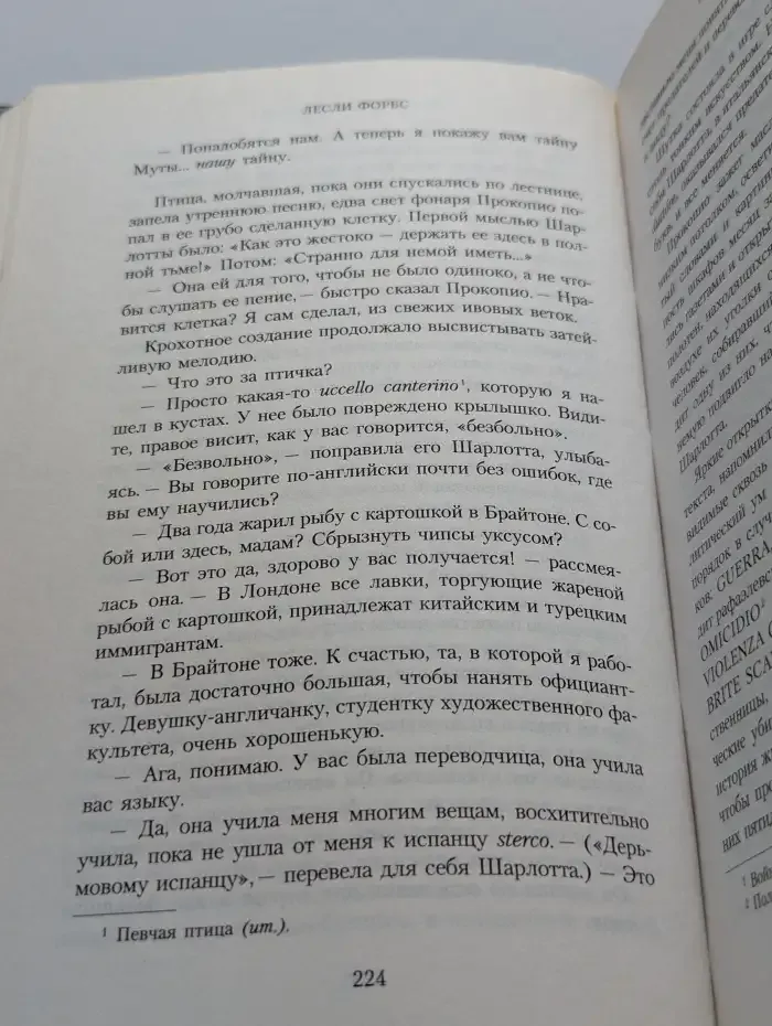 Пробуждение Рафаэля