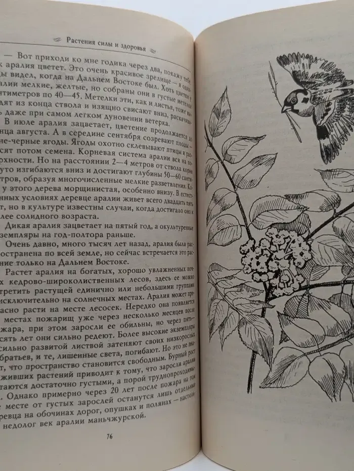 Растения силы и здоровья