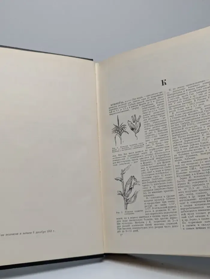 Большая советская энциклопедия. Том 24: Кукуруза — Лесничество