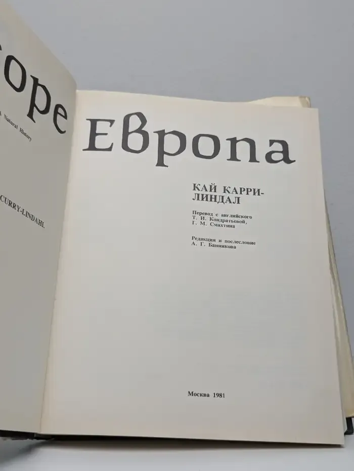 Европа