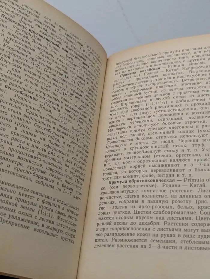 Цветы в комнате и на балконе