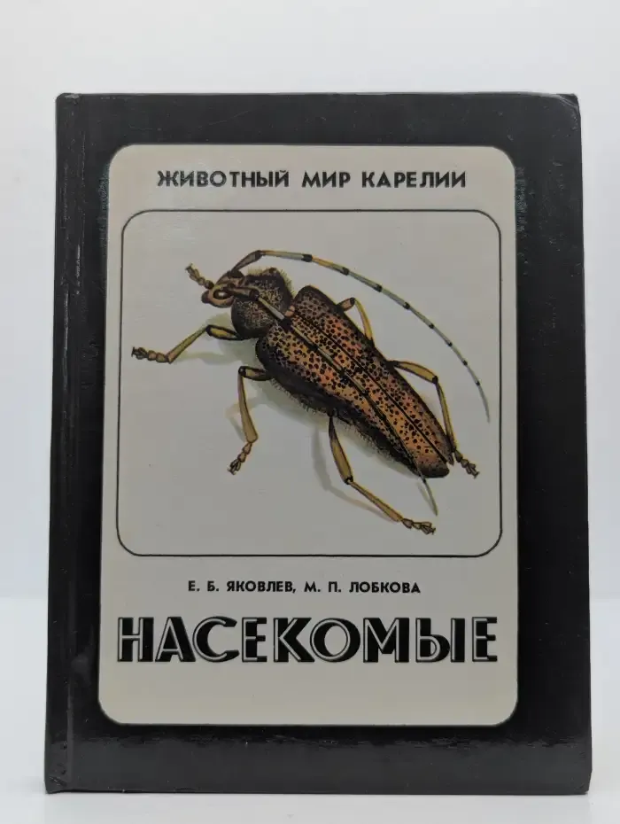 Насекомые