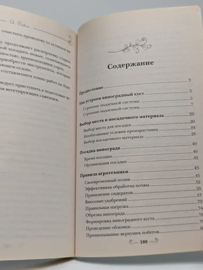 Виноград на вашей даче. Растет не только на юге!