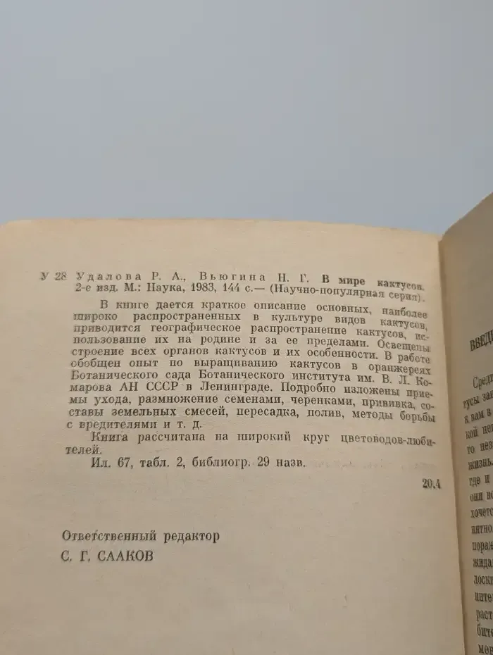 В мире кактусов