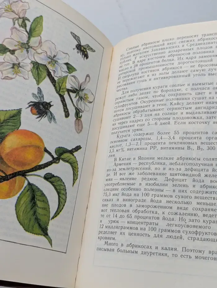Растения от А до Я