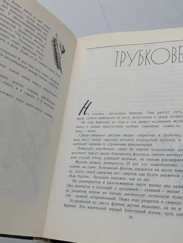 Занимательная энтомология