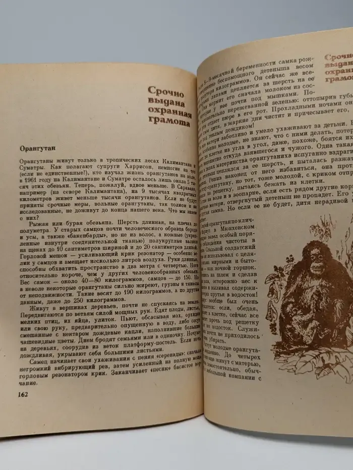 Причуды природы