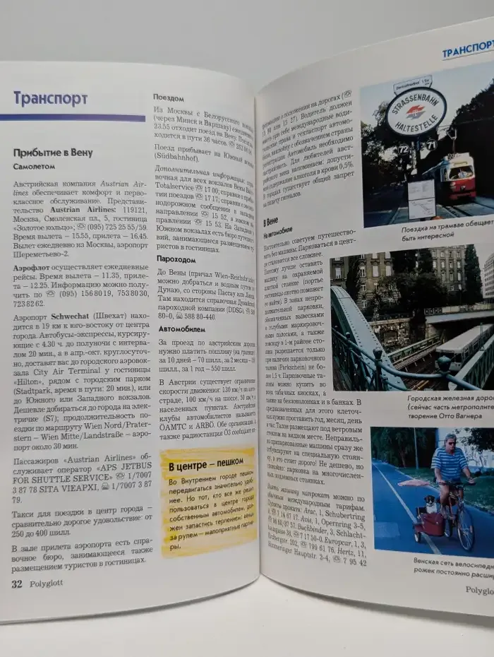 Вена