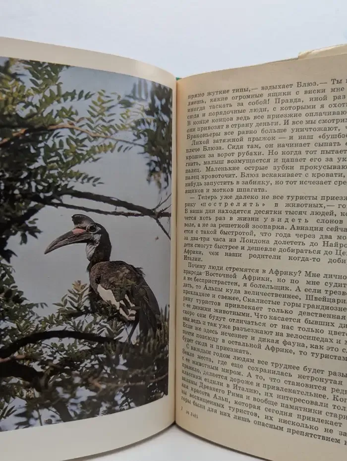 Серенгети не должен умереть