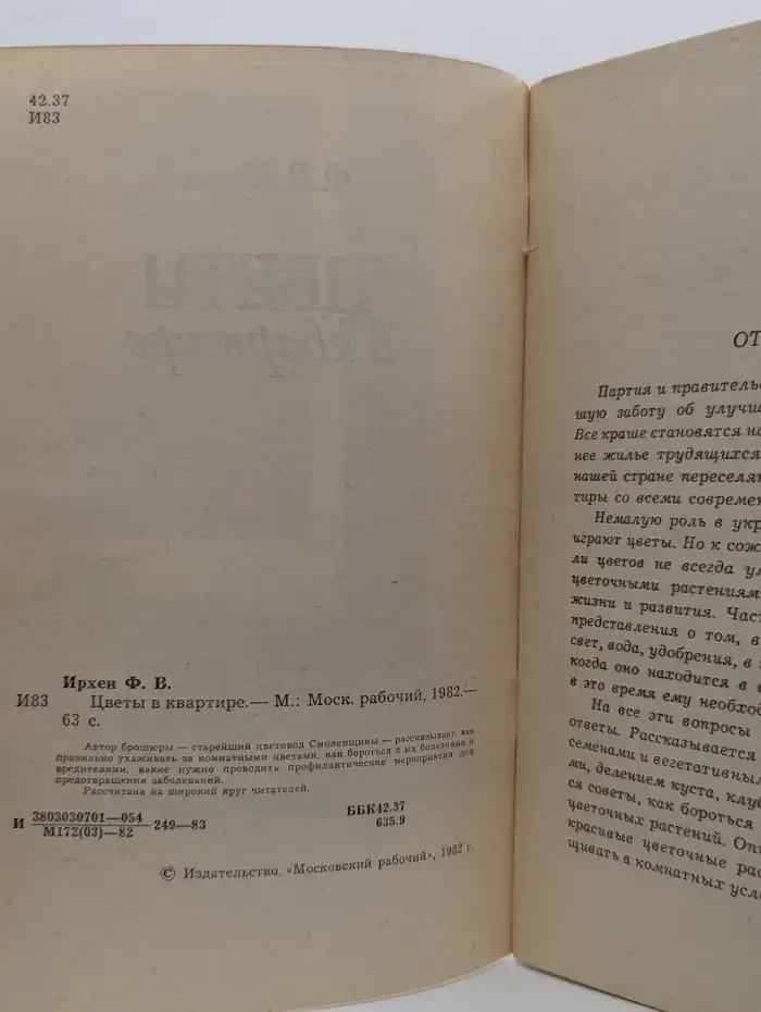 Цветы в квартире