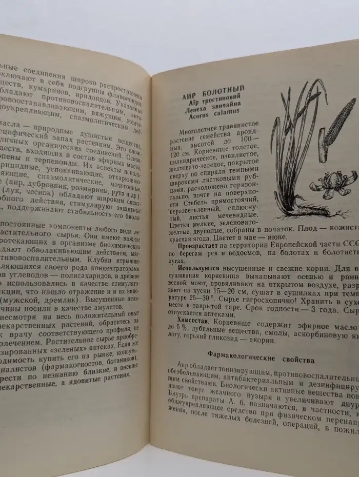 33 рецепта для мужчин