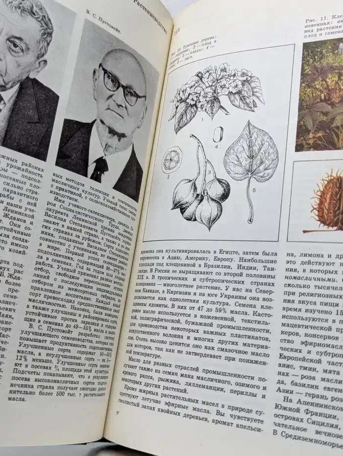 Детская энциклопедия. В 12 томах. Том 6. Сельское хозяйство