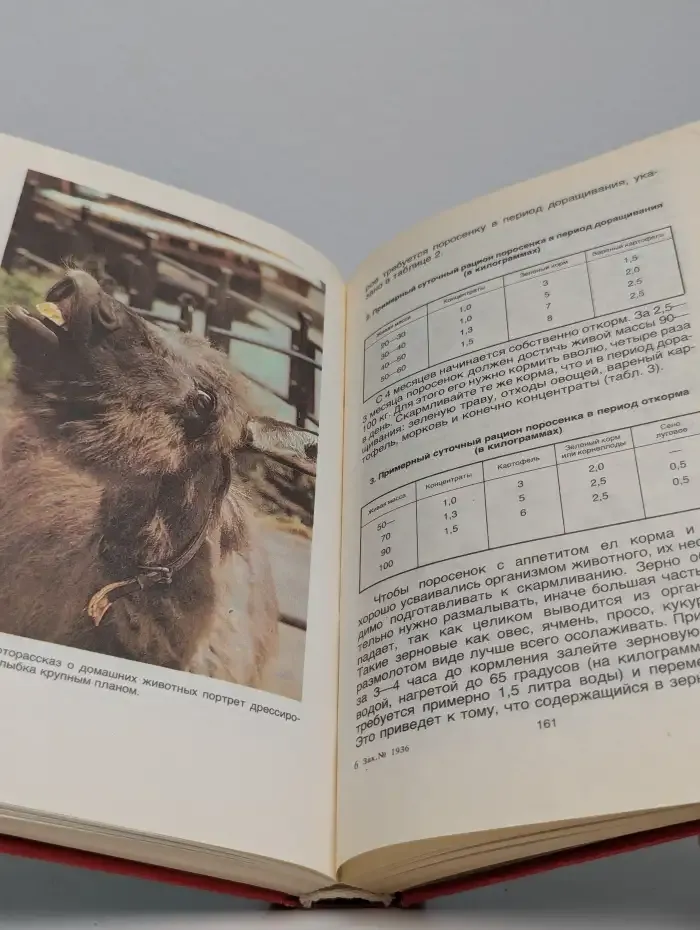 Домашние животные. Малая энциклопедия. В двух томах. Том 2
