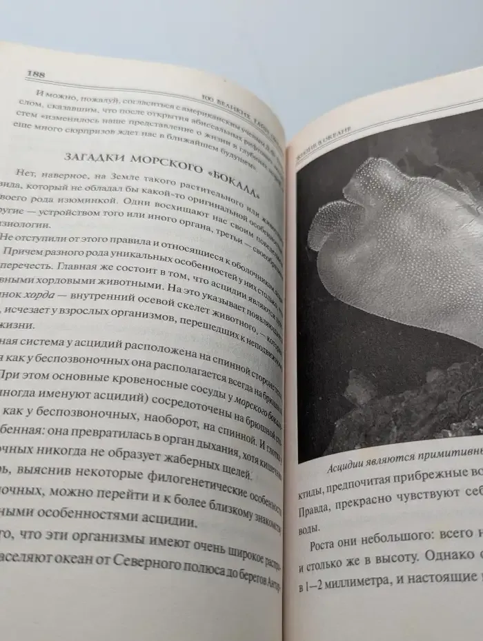 100 великих тайн океана