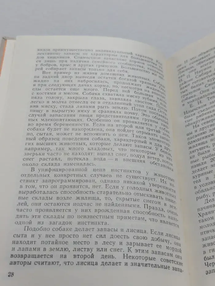 Удивительное поведение животных