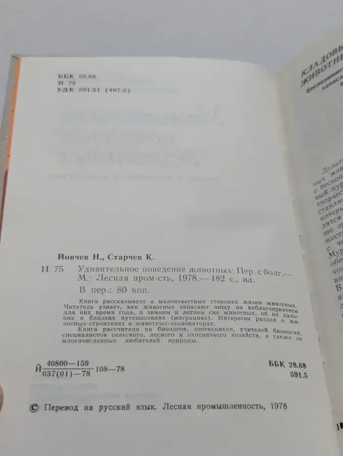 Удивительное поведение животных