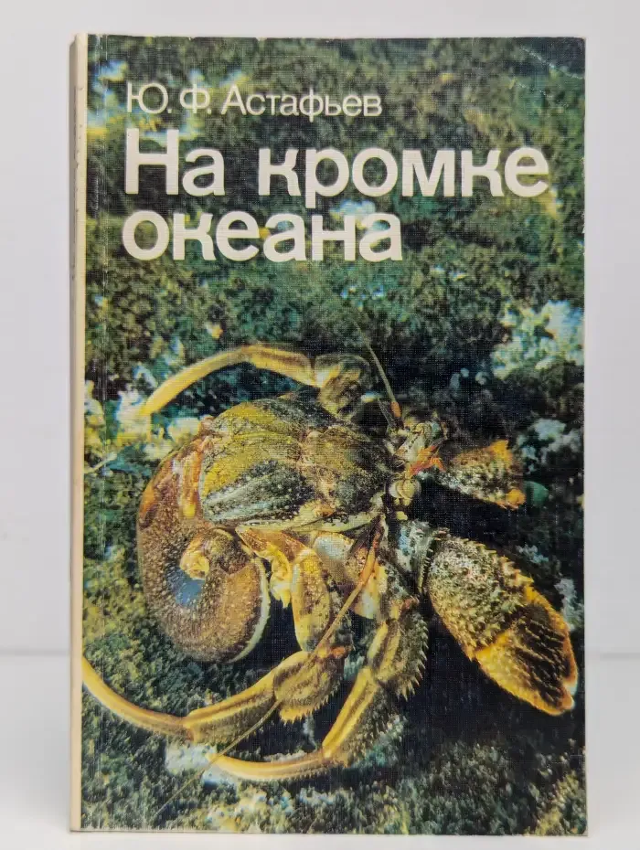 На кромке океана
