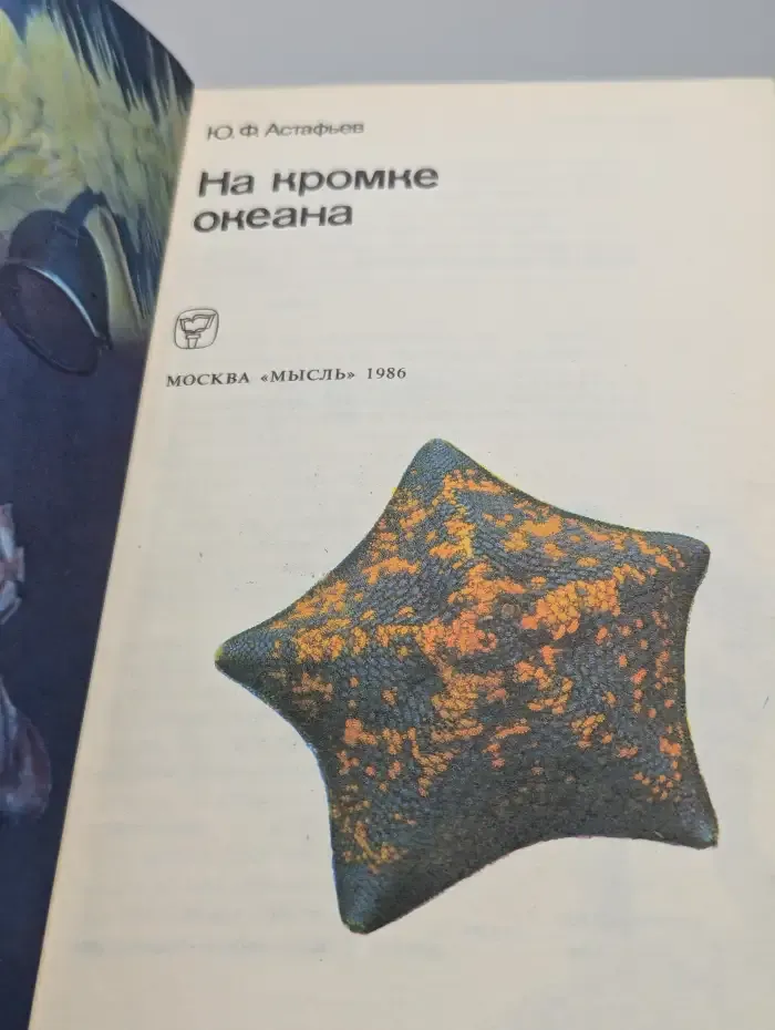 На кромке океана