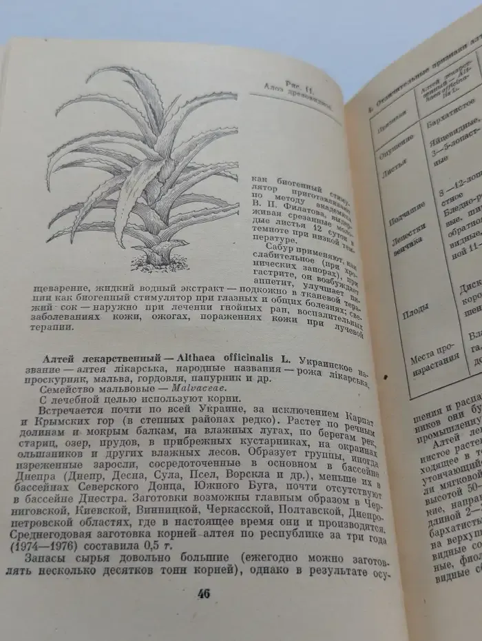 Лекарственные растения Украины