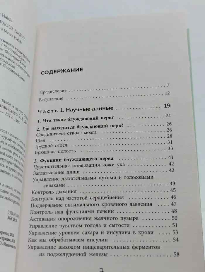Блуждающий нерв. Что это такое и за что отвечает?