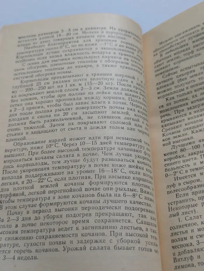 Знаете ли вы эти овощи?