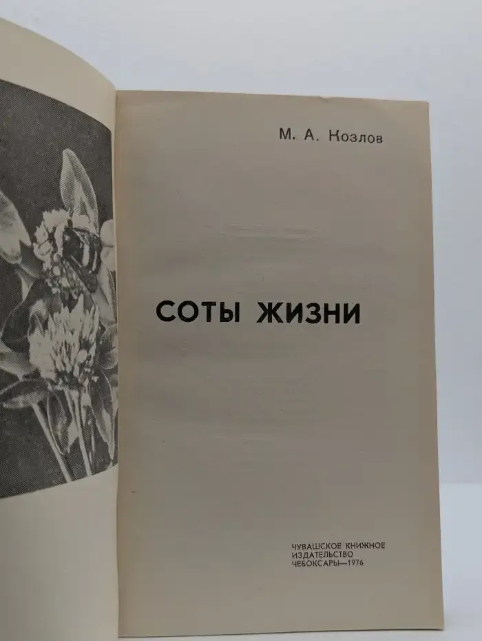 Соты жизни