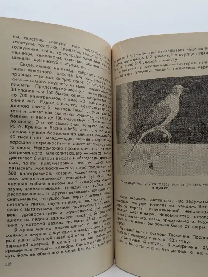 Соты жизни